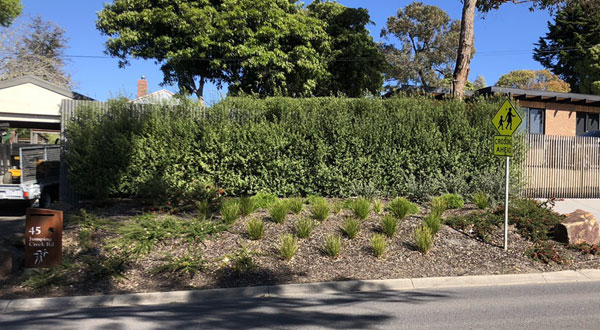 JBeasley-landscapes-maintenance-2 garden maintenance melbourne